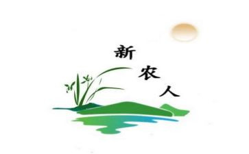 新农合工作计划7篇
