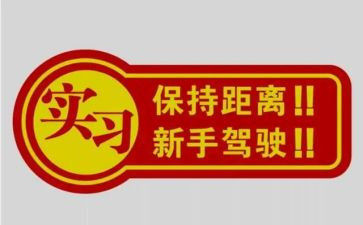 新手班主任个人总结5篇