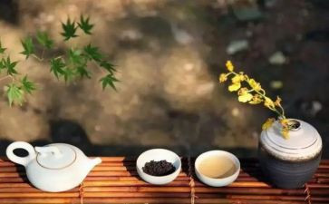 文明修身月总结6篇