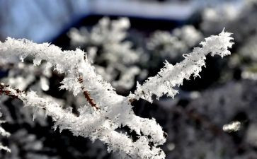 社区除雪工作计划优质6篇