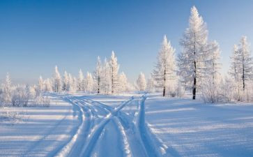 除雪总结报告参考7篇