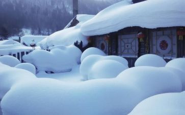 小学生雪作文通用5篇