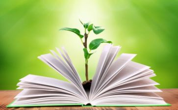 数学二年级下册教学工作计划5篇