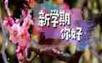 大班下学期月计划通用8篇