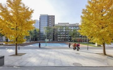 学校安全培训工作计划8篇