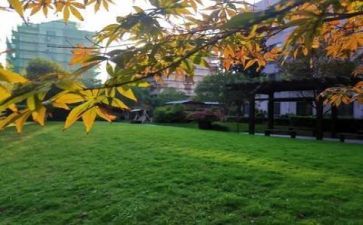 2023学校校长工作计划7篇