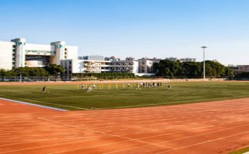 2023学校个人总结报告5篇
