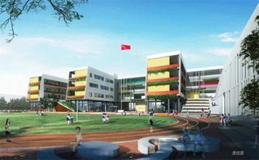 个人学校年终总结5篇