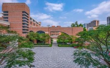 学校的月总结报告6篇