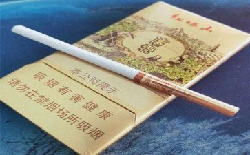 小学控烟活动方案8篇