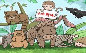 绝野味从我做起的演讲稿6篇