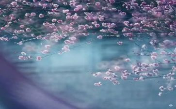 一季度工作总结推荐6篇