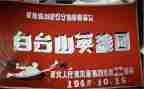 为英雄而歌作文优质5篇