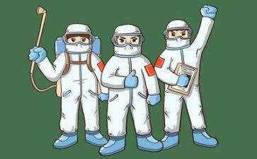 疫情开展情况工作报告8篇