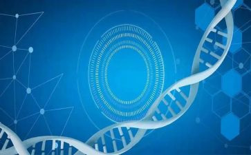 医学生模板简历模板模板5篇
