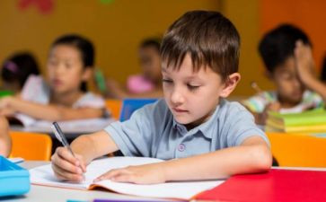 幼儿园个人年度工作总结通用6篇