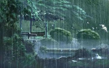 雨中作文300字8篇
