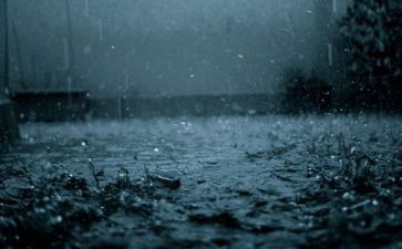《雨》作文800字模板5篇