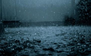 雨的读后感500字作文参考6篇
