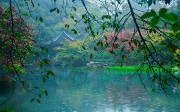 作文《雨》200字优秀8篇