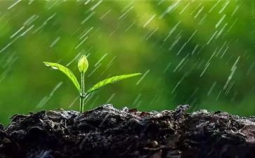 风和雨的故事读后感通用6篇