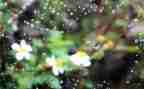 《雨》作文800字通用6篇