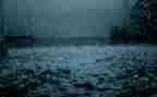 《雨》作文800字模板5篇