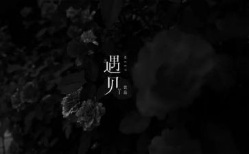 我遇见她作文8篇