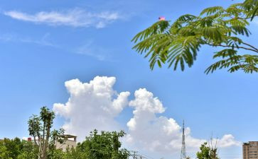 企业上云总结报告精选7篇