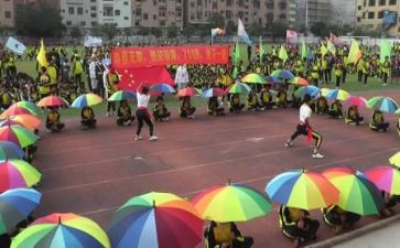 2024东京奥运会作文模板7篇
