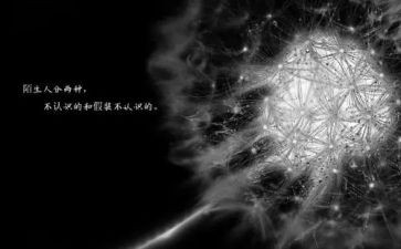 关于在乎作文8篇