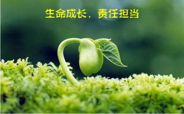 关于工作责任的心得5篇