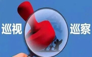反馈意见整改工作报告5篇