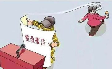 行业整改报告7篇