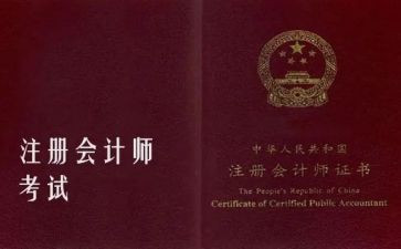 正高级会计师工作总结5篇