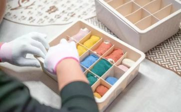 整理师总结报告5篇