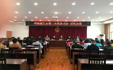 乡镇工会八有自查报告6篇