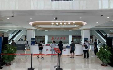 村政务服务工作总结报告5篇