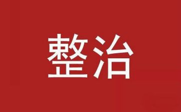 133专项整治活动总结6篇