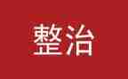 133专项整治活动总结6篇