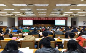 镇统计站工作计划推荐6篇