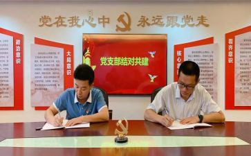 2023党支部年度工作计划优质6篇