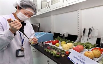 质量工作总结精选5篇
