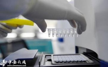 2024年年终质量工作总结参考5篇