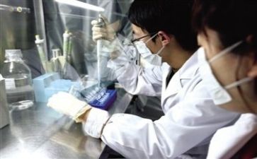 数质量工作总结最新6篇