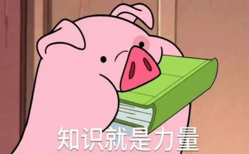 财务知识培训心得6篇