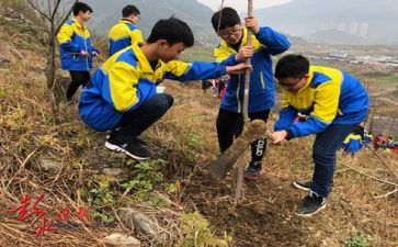 植树活动方案范文7篇