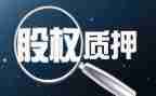 车辆质押合同5篇