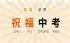 中考演讲稿范文800字7篇