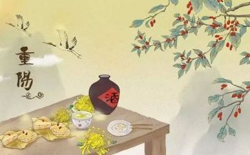 重阳敬老月活动方案5篇